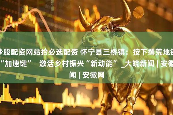 炒股配资网站拾必选配资 怀宁县三桥镇：按下撂荒地销号“加速键”   激活乡村振兴“新动能” _大皖新闻 | 安徽网