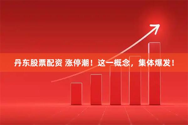 丹东股票配资 涨停潮！这一概念，集体爆发！